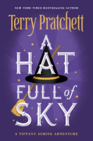 A_hat_full_of_sky
